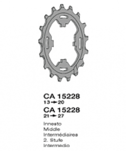 PIGNON MICHE CAMPA 11v INTERMED 19D.