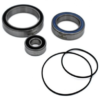 Black-bearing Blackbearing - Service Kit Moteur Yamaha PW-X